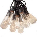 Edison String Lights Outdoor 50 - Bulb Plug-in String Light
