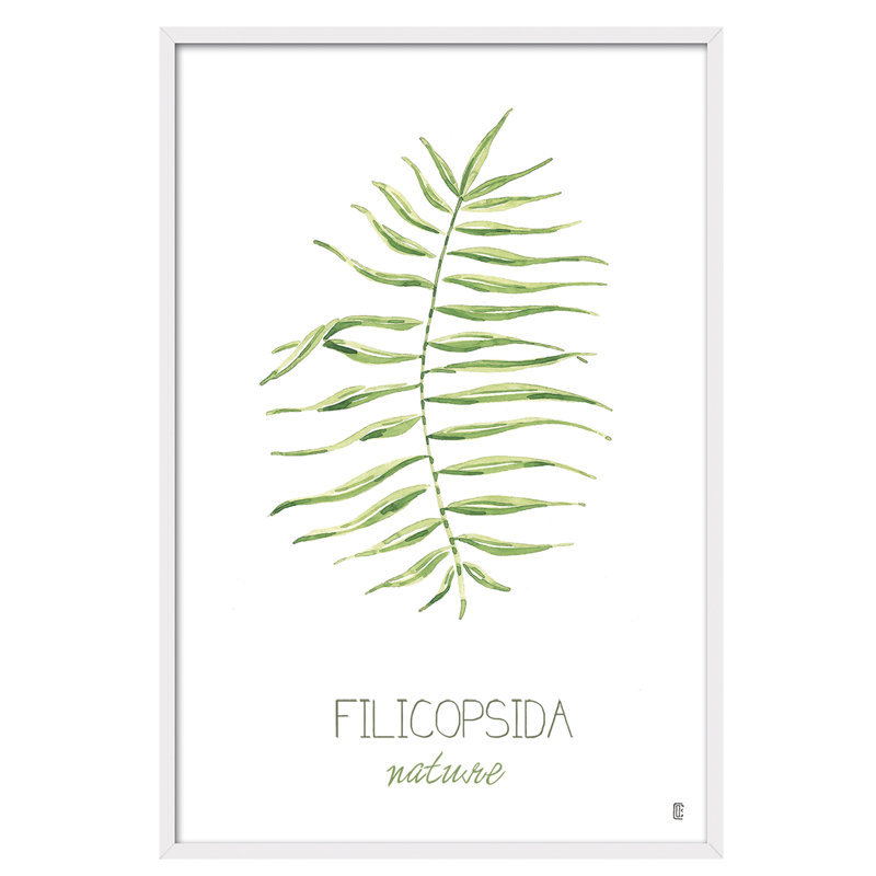 Nature Filicopsida 1 Piece Single Picture Frame Painting, 60cm H x 40cm W x 3cm D