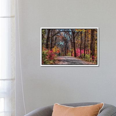 Manor Trail by David Gardiner - Print on Canvas