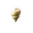 Coquille de conque