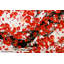 Cherry Tree Avenue Hand Painted Acrylic Painting