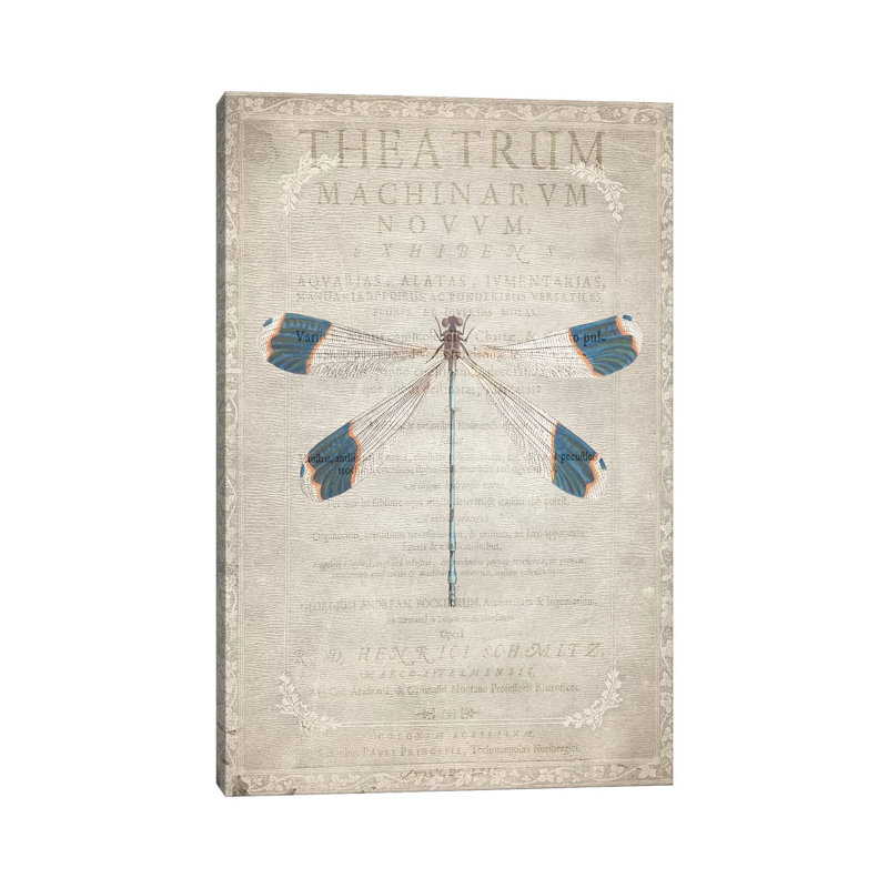 Dragonfly Book I by Kimberly Allen - Print on Canvas, Wrapped Canvas, 45.72cm H x 30.48cm W x 1.91cm D