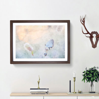 Tailed-Blue Butterfly - Picture Frame Painting Print