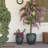 Shamell Pot Planter-66653515
