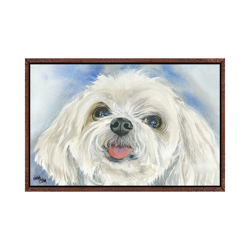 Matisse - Maltese by Judith Stein - Painting on Canvas, 45.72cm H x 66.04cm W x 3.81cm D, Brown Framed