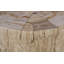 Converge Petrified Coffee Table, Rough, Cream