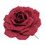 Grande tige rose en mousse-132110119-132110125