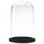 Abstract Cloche Or Water Globe