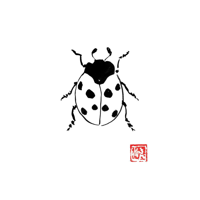 Ladybug by Péchane - Print on Canvas, Wrapped Canvas, 20.32 cm H x 30.48 cm W