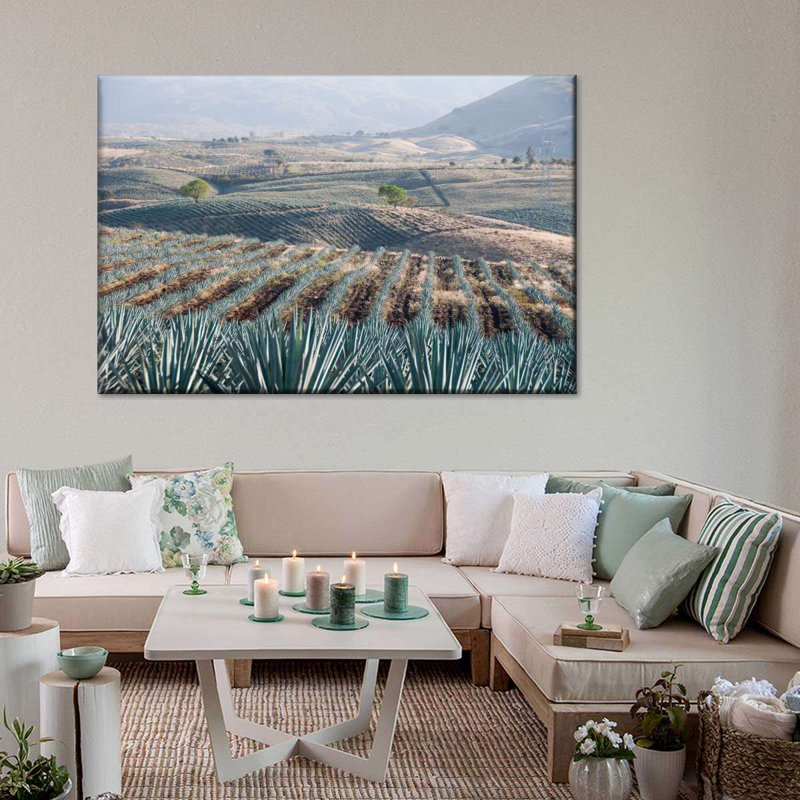 Téquila Jalisco Agave Field, H 8 po x l 12 po x P 1 po
