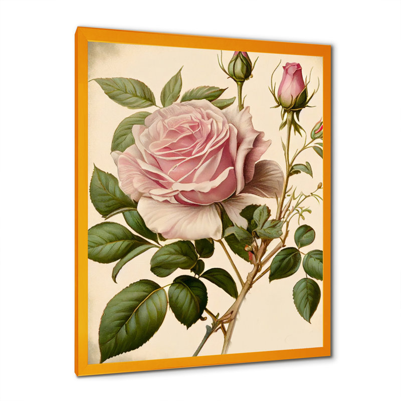 «Pink Rose on Retro Parchment IV», reproduction sur toile, H 44 po x l 34 po x P 1,5 po, Encadrement doré