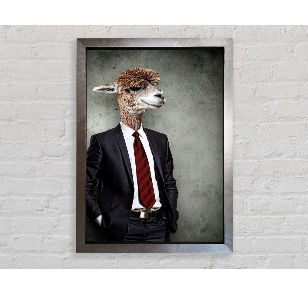 Business Llama - Drucken