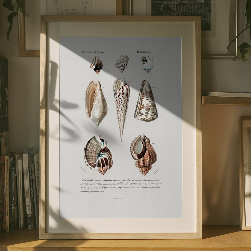 Wrapped Canvas Print, 76.2 cm H x 50.8 cm W