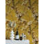 Adhésif décoratif floral doré doré