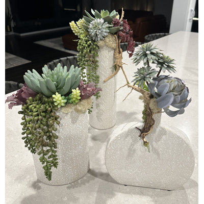 Succulent Designs on Off-White Ceramic Vases | Rare Succulent Plants and Real Touch Flowers