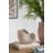 8.5X5.5X6.3" Sand And Cement Nautilus Shell Planter With Textured Beige Finish-1467337238