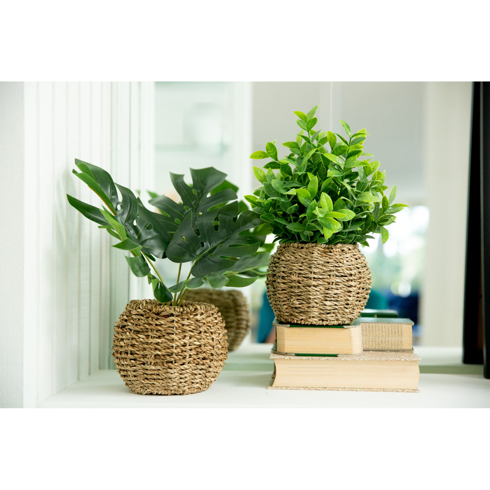 Julieta 12.25 " Philodendron Plant in Basket