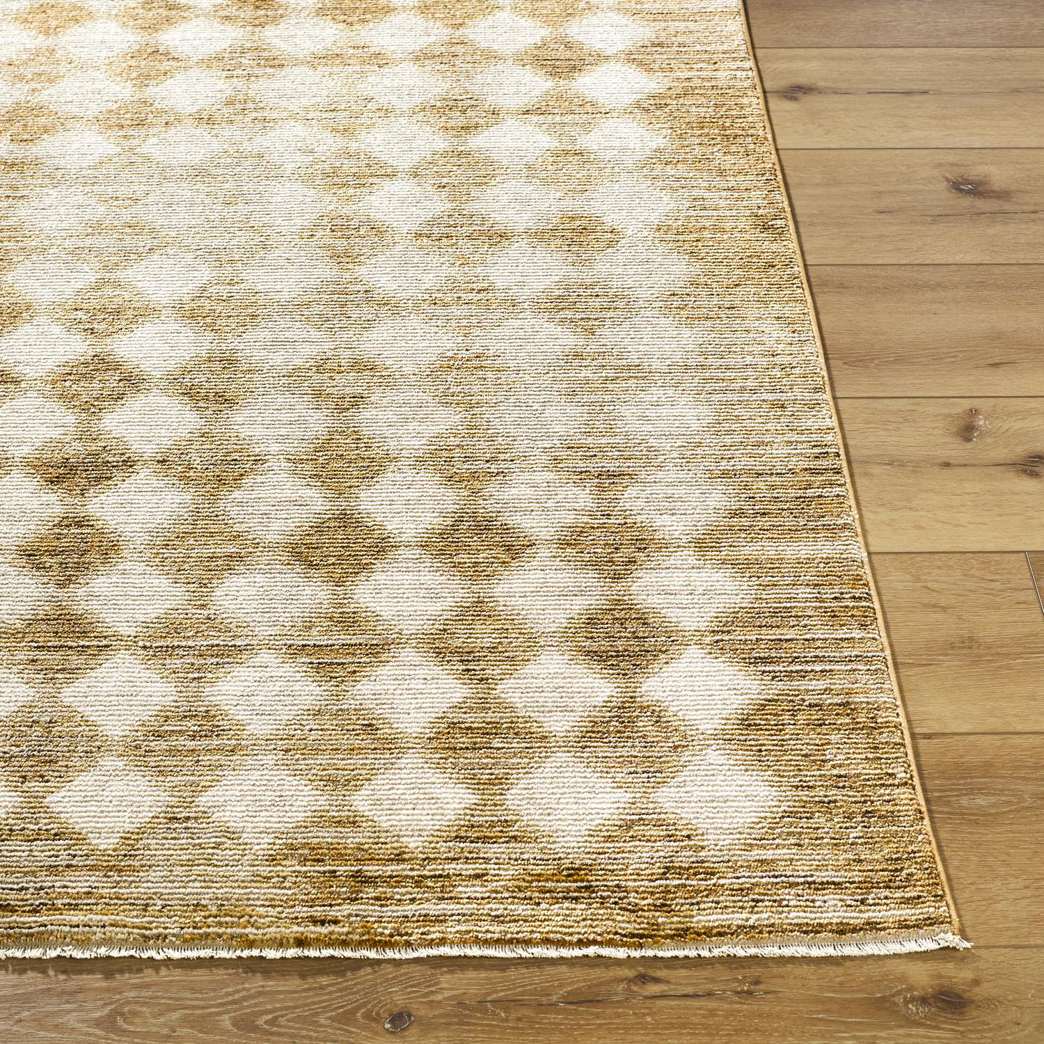 Galey Alix x Livabliss Myrtle Avenue V Indoor Machine Woven Area Rug, Runner 2'6" x 9'