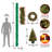 4 Piece Evergreen Assortment with LED Lights