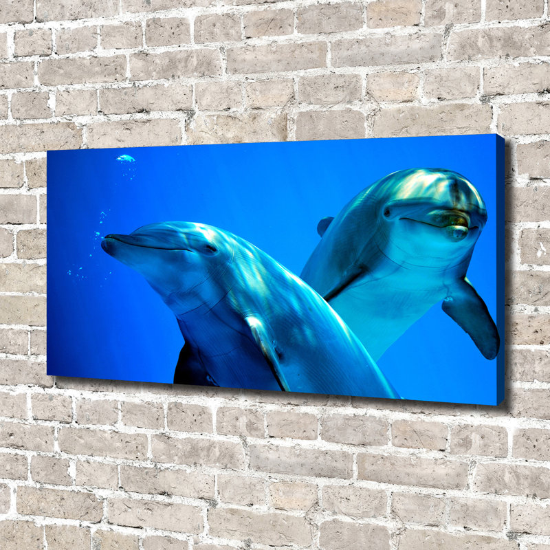 Two Dolphins - No Frame Print on Glass, Wrapped Canvas, 70cm H x 140cm W