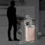 Poubelle à pédale en acier inoxydable 13 gallons SoftStep-43147411