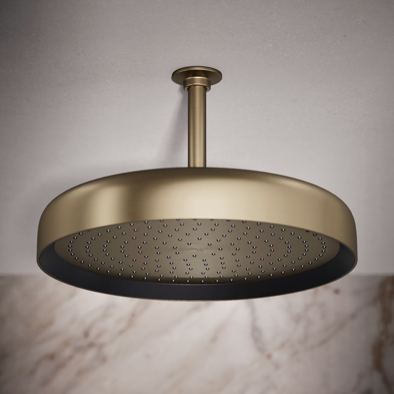 Statement 14" Single-Function Wall or Ceiling-Mount Round Rainhead, Round Rain Showerhead 2.5 GPM, Vibrant Brushed Bronze