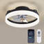 Ceiling Fan with Light Kit