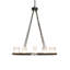 12 - Light Chandelier