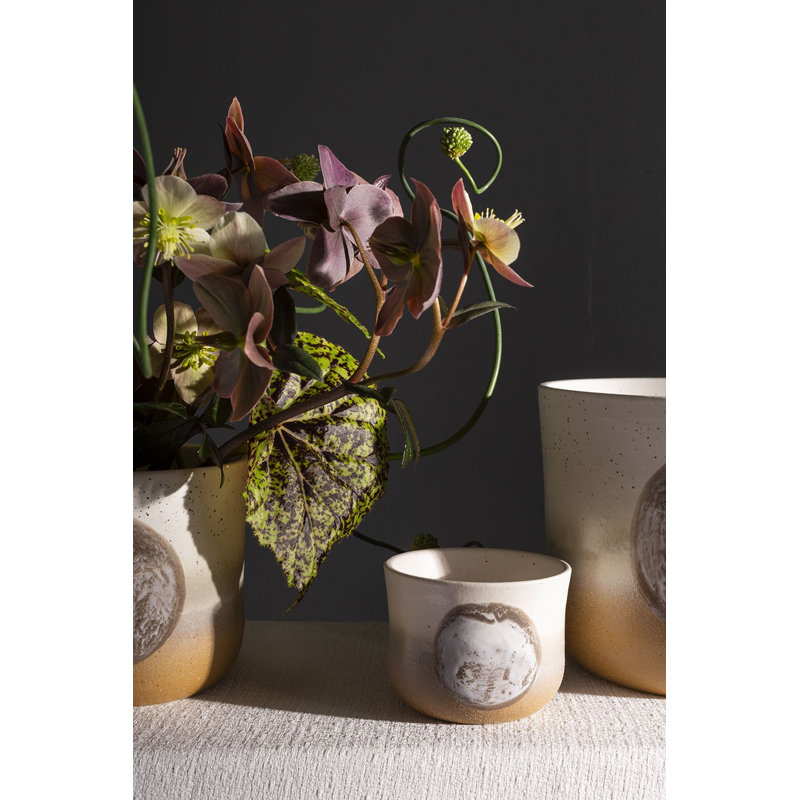 Pot à fleurs en céramique Henghold Hala, H 3 po x l 3,75 po x P 3,75 po