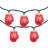 10 Count Red Snowflake Mitten Christmas Light Set 7.5ft Green Wire