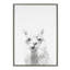 «Alpaca Portrait» par Simon Te, impression sur toile encadrée-1565500853-1508993502