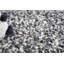 Ferretti Wool Area Rug-313706707