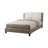 Upholstered Standard Bed in Brown-940927078-959980788