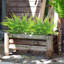 14.5 Plante