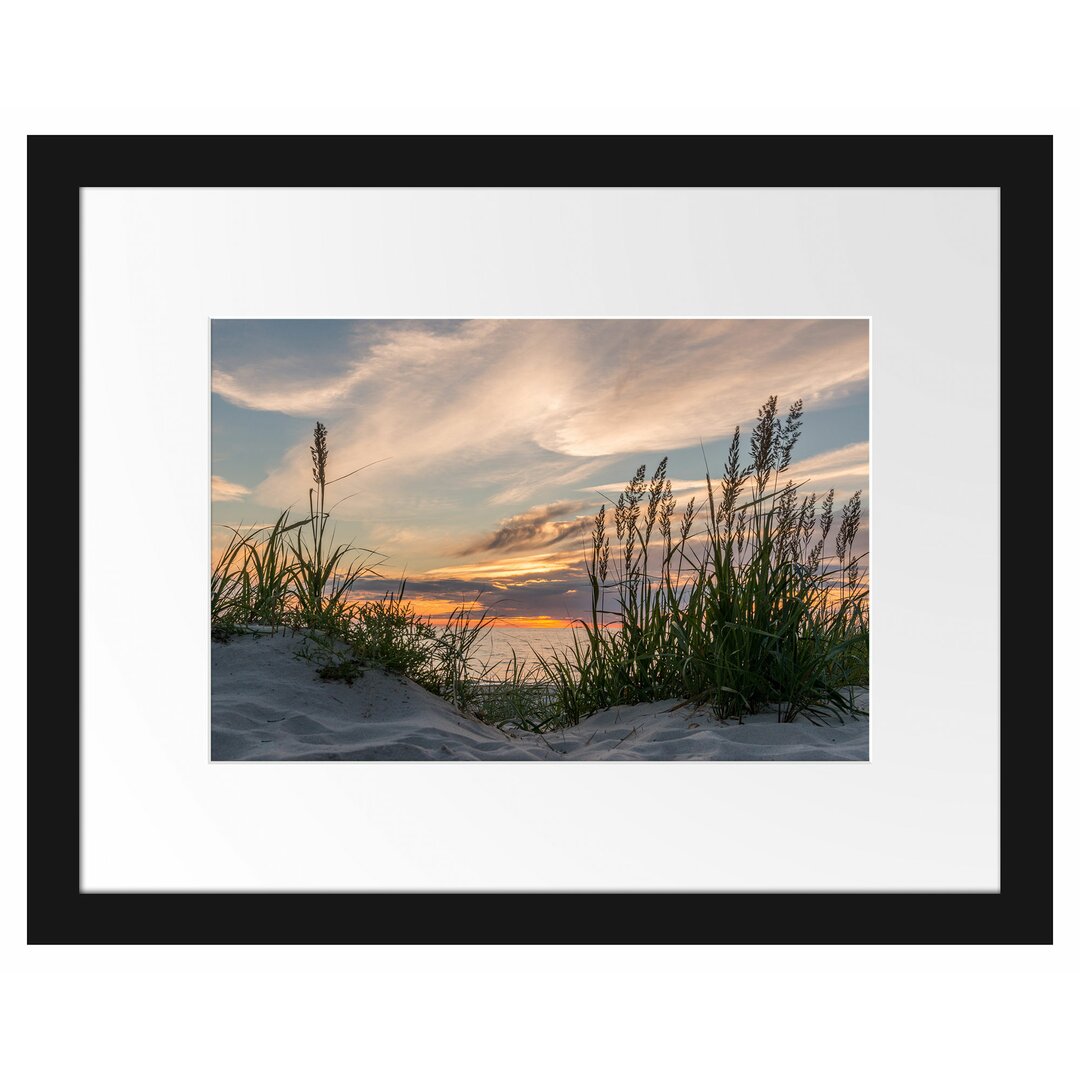 Gerahmtes Poster Gras am Strand bei Sonnenuntergang