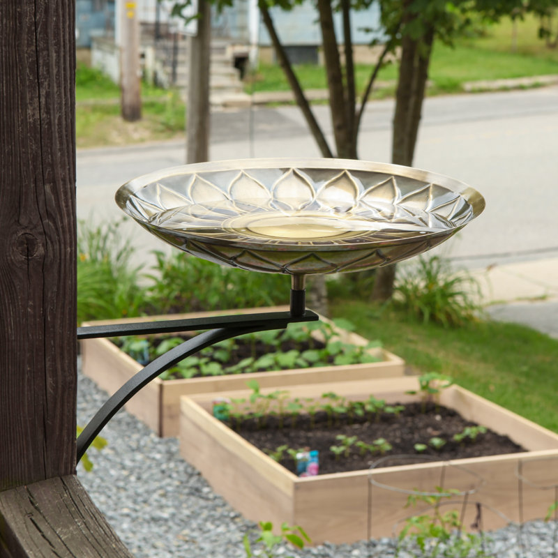 African Sunflower Birdbath with Wall Mount Bracket, Antique Brass