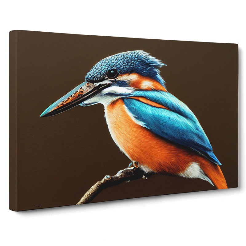 Effervescent Kingfisher Bird - Wrapped Canvas, 40cm H x 60cm W x 3cm D