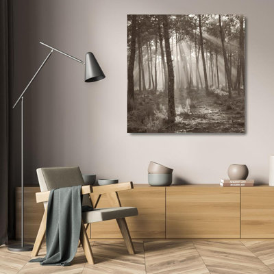 Forest Light