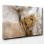 Elephant Eye Photographic - Wrapped Canvas-19091170