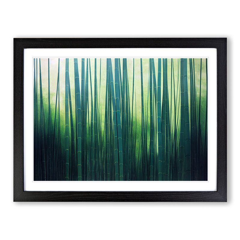Attractive Bamboo Forest - Framed Print, 34cm H x 46cm W x 2cm D, Black