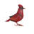 Metal Tall Cardinal Statue