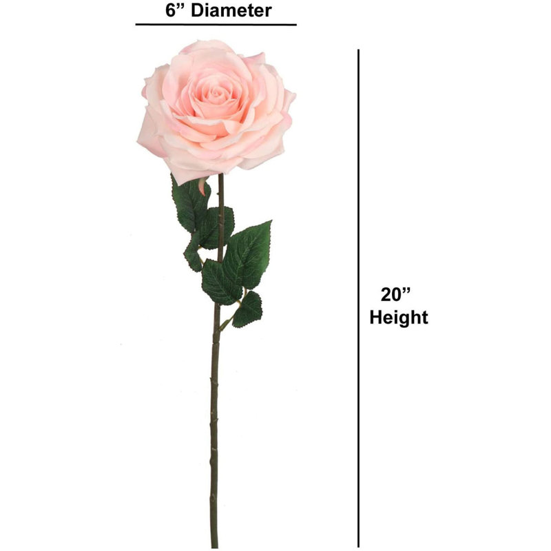 Roses Stem, Light Pink