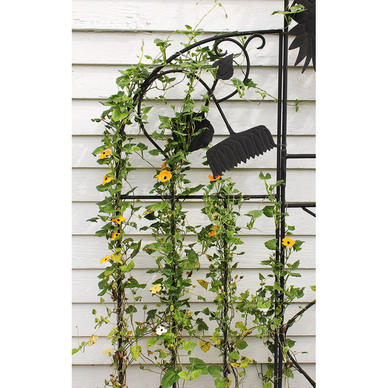 Coker 90'' H x 36'' W Iron Arched Trellis