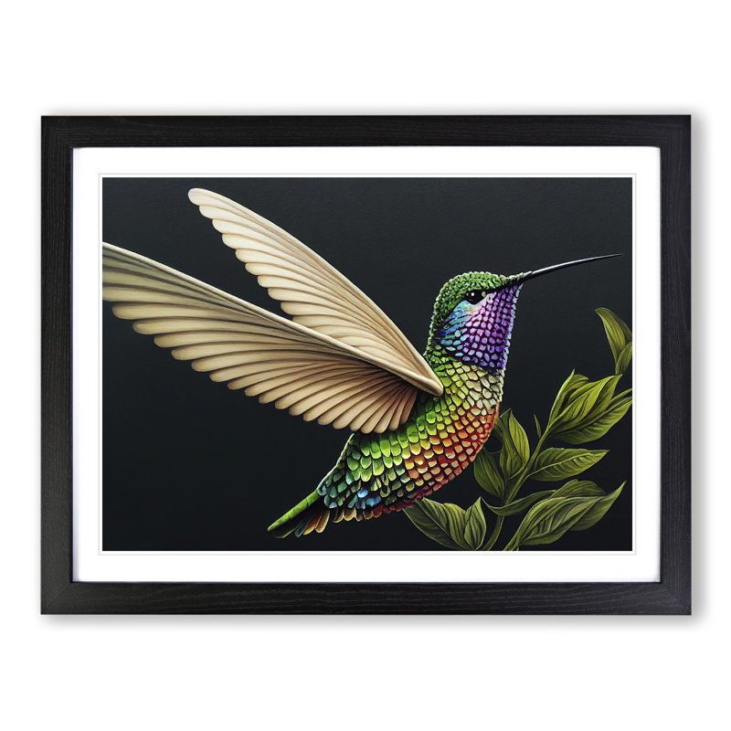 Illuminated Hummingbird - Single Picture Frame Print, Black, 34cm H x 46cm W x 2cm D