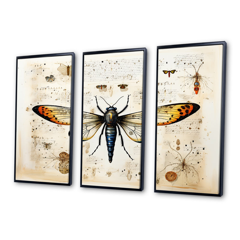 «Beige and Yellow Moth Blueprint - Insectes & Bugs», art mural, H 28 po x l 36 po, Cadre flottant noir