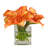 TRI CALLA IN CUBE