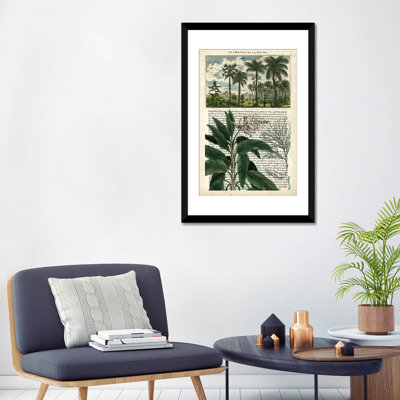 «Journal of the Tropics I» par Vision Studio, reproduction d'art sur toile tendue
