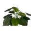 120cm Faux Banana Leaf Plant in Pot