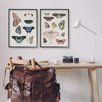 Vintage Butterflies & Moths Framed On Wood 2 Pieces Print -  Stupell Industries, a2-647_fr_2pc_24x30