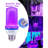 Light Bulbs
